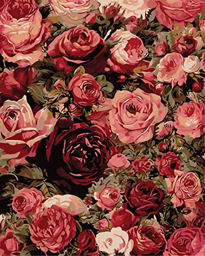 Gofission Kit de peinture par numéros avec de belles fleurs rouges et roses 40,6 x 50,8 cm
