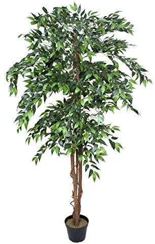 GreenBrokers Premium Artificial Ficus Weeping Fig Tree 180 cm Potted Plant, Green, 180cm