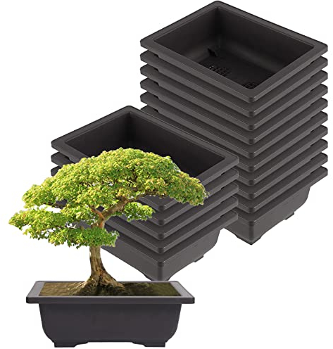 ZEONHEI 15 Stück Groß Bonsai Trainingstöpfe, 22,5x16,5x7,5cm Pflanzen Anbau Kunststoff Bonsai Topf, Schale Pflanzgefäß Blumentopf für Garten Hof Wohnen Zimmer BalkonTopfpflanzen