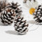 DAHI 30pcs Tannenzapfen Anhänger Weihnachtsschmuck Zapfen Deko zum Anhängen Pinienzapfen als Weihnachtsdekoration (Weiß(mittle))