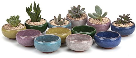 T4U 2.5 Inch Small Ceramic Succulent Planter Pot with Drainage Hole Set of 12, Ice Crack Glaze Plant Container for Cactus, Plant Lover Gifts for Women Mom Aunt Home Office Decor