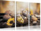 Pixxprint Herbsternte B&W Detail, Leinwandbild 3 Teilig, Gesamtmaß: 120x80cm, Wandbild, Dekoration, fertig gespannt, Kein Poster