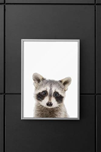 LS Bright Design Kinderzimmer Tiere Glänzend Drucke Poster und Kinder Wandbilder Kunst Babyzimmer Geschenke (Hochglanz-Finish A4 (210 x 297 mm), Waschbär)