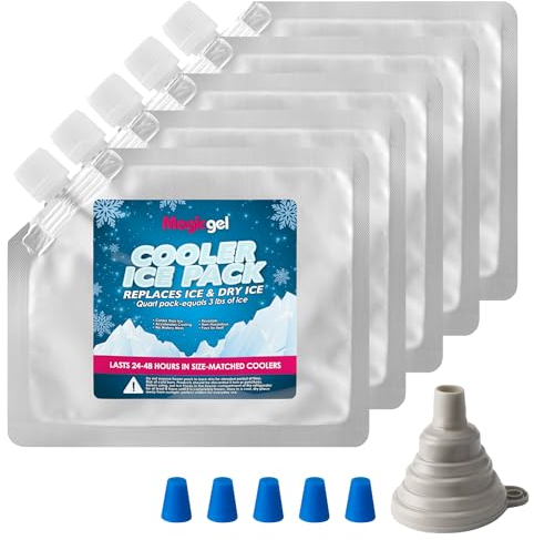 Magic Gel Pain de Glace - Lot 5X Pain de Glace 19 x 16 cm pour Sac Isotherme Panier Pique Nique Boîte à Lunch - Bloc de Glace Refrigerant 350 ML Réutilisable Froid Jusqu'à 8h