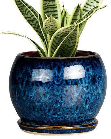 SQOWL Blumentopf aus Keramik, 15,2 cm, mit Ablaufloch und Untersetzer, Sukkulententententopf, runder Blumentopf für Zimmerpflanzen im Freien, Blau