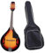 Instrumento Musical Mandolina Instrumento De Mandolina Con Funda Para Práctica Y Ejecución De Mandolina.