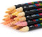 EliLunar 24 Skin Tone Colors Acrylic Paint Pens, Dual Tip Art Markers with Brush & Fine Tip for Rock Painting, Wood, DIY Crafts Making Art Supplies