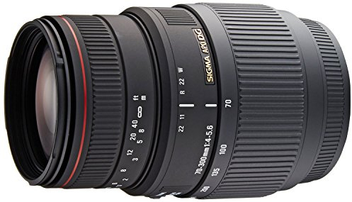 Sigma Obiettivo 70-300mm -F/4-5.6-AF APO DG, Attacco SONY, Nero