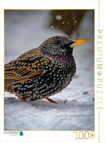 CALVENDO Puzzle Star | 1000 Teile Lege-Größe 48 x 64 cm Foto-Puzzle für glückliche Stunden