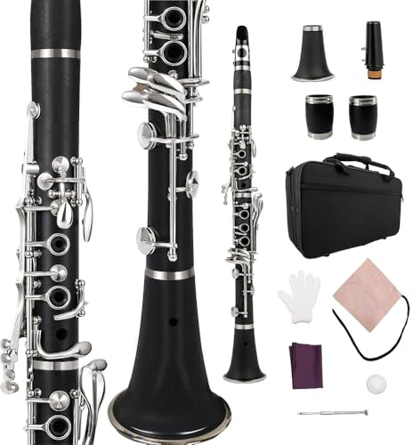 WUQIMUSC Professionelle Klarinette aus Ebonitholz, vernickelte Klappen mit Fässern, Blatt-Zubehör, schöner Klang, strapazierfähiges Etui (ckey-clarinet)