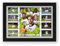 England Euro 2024 Squad Signed Poster Print - Limited Edition Autograph Fan Gift – Collectible Memorabilia Merchandise (Unframed A4 (30x21cm))