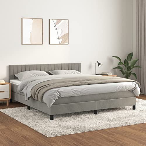 Willood Boxspringbett mit Matratze Hellgrau 160x200 cm SamtVertikale Streifen