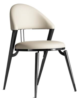 ZHCHAO Dining Chair Arm Rest Office Lounge Balcony Nail Desk Chairs Library Furniture(D)