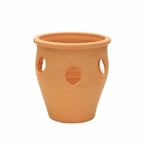 APTA 36cm Terracotta Herb Planter 36cm Durable Outdoor Garden Pot