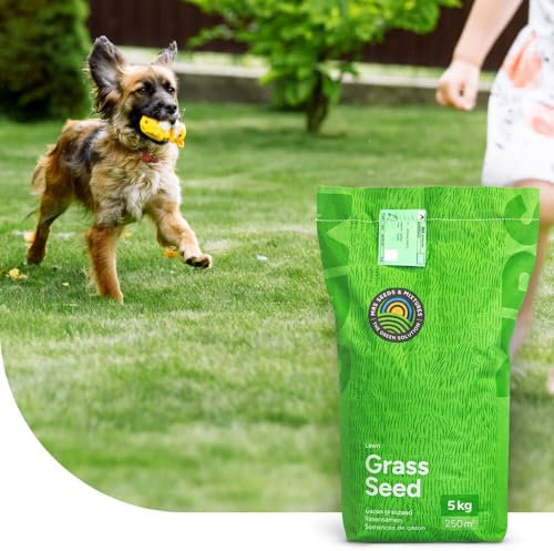 Family: Gazon Sport et Jeux | 1 kg - 50 m² | Résistant au Piétinement | Qualité : Coupe du Monde | 90% de Germination | Convient à tous les types de sol