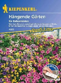 Hängende Gärten für Balkonkästen, Saatband, Mischungen einjähriger Sommerblumen von Kiepenkerl