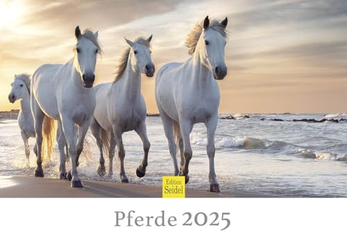 Edition Seidel Premium Kalender Pferde 2025 Format DIN A3 Wandkalender Pferdekalender Tiere Fohlen Stute Hengst Pony
