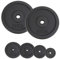 ALPIDEX Hantelscheiben Set Gewichte Gusseisen 5 kg | 10 kg | 15 kg | 20 kg Gewichtsscheiben 30 mm Hantelgewicht, Farbe:2 x 10 kg