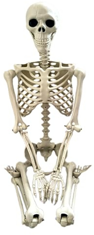 Skelett Dekoration Für Draußen | Lebensgroßes Bewegliches Ganzkörperskelett - Gruselige Fotorequisiten Gartendekoration Dekorative Partydeko Für Halloween Feiern Draußen