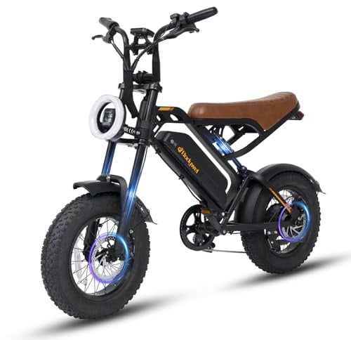 Bodywel M16 Bici Elettrica Uomo, 16x4.0 Zoll Fat Mountain Bike Elettrica, Batteria 48V 13Ah, Motore 250W, Autonomia 30-60km (PAS), Display LED da 4.0”, Freni a Doppio Disco (Nero)