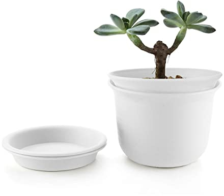 MissFox Blumentopf 15cm Durchmesser 2er Set, Pflanztöpfe Kunststoff mit Untersetzer, Kleine Blumentöpfe mit Ablauflöchern, Pflanzkübel Rund für Innen und Draußen Pflanzen Sukkulenten Kaktus