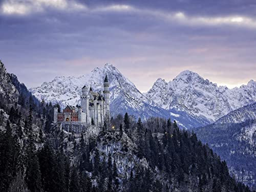 THISIT DIY Acrylfarben Gemälde nach Zahlen Kits,Schloss Neuschwanstein,Bayern,Deutschland-16 x 20 Zoll mit Rahmen