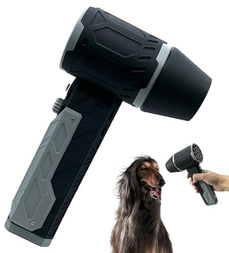 Aeratore portatile, aeratore elettrico - Potente ventola 'aria - Spolverino elettrico velocità continua, pulitore elettrico, ventola portatile per barbecue per barbecue con fotocamera