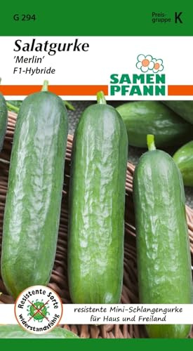 SAMEN PFANN Salatgurke, Merlin F1 - Gemüse-Samen Gurken-Samen Saatgut (Cucumis sativus)
