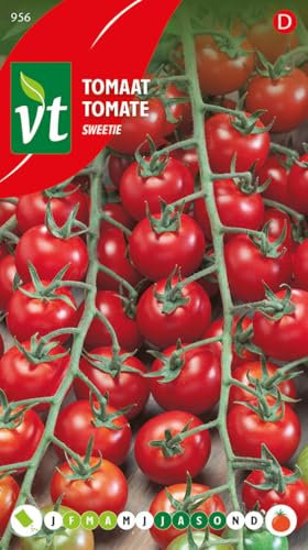 Semillas de tomate Sweetie - Excelente variedad de tomate cherry con sabor dulce