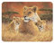 3D LiveLife Magnet - Motherly from Deluxebase. Lenticular 3D Wolf Fridge Magnet. Magnetic decor for kids and adults with artwork licensed from renowned artist, Lucie Bilodeau
