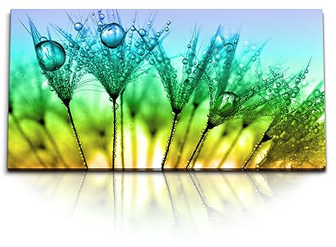 Paul Sinus Kunstdruck Bilder 120x60cm Makrofotografie Regentropfen Pusteblume Sonnenuntergang