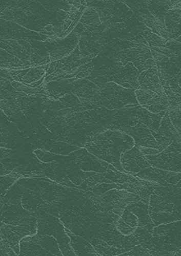 Heyda Strohseide 204719559 70 x 150 cm 25 g/qm Inhalt 1 Rolle dunkelgrün