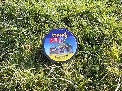 monofile Angelschnur Wels 0,55 mm Angel Schnur monofil Waller Angelsehne 125 m