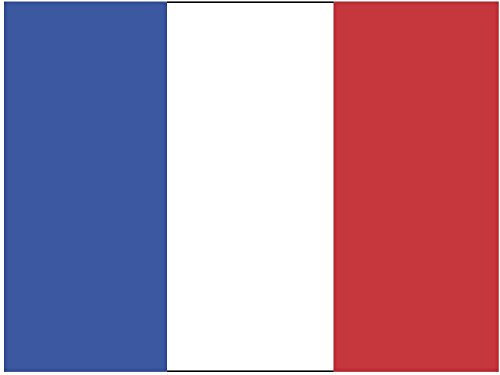 Artimagen Pegatina Bandera Rectangular Francia 80x60 mm.