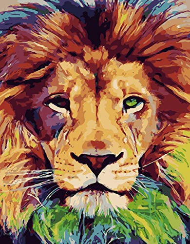 ABEUTY Peinture Numero Motif lion aux yeux verts, Peinture par Numero 40x50 cm Peinture Numéro Bricolage