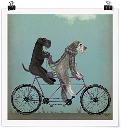Bilderwelten XXL Poster Radtour - Schnauzer Tandem Quadrat, Galerieprint Glänzend 90 x 90cm