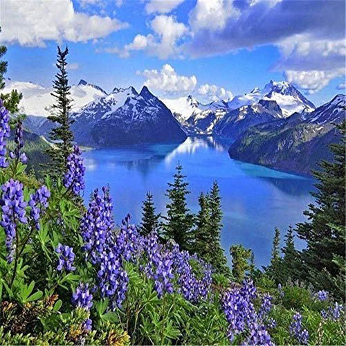 Yingxin34 5000-piece Jigsaw Puzzle for Adults - See und Schneeberg Puzzle 5000-piece Jigsaw Puzzle for Adults-61.61x41.53 Zoll (156.5 x 105.5cm)