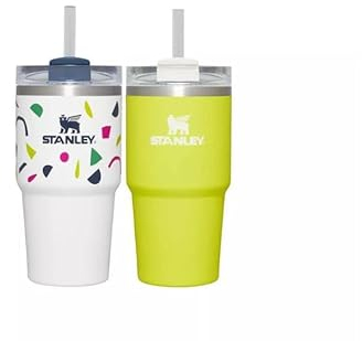 STANLEY 2pk 20oz Stainless Steel H2.0 Flowstate Quencher Tumblers San Valentine gift