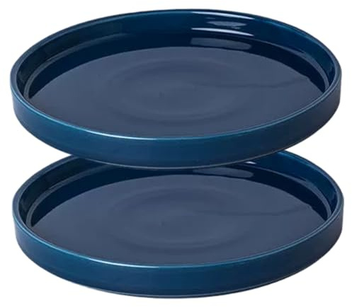 Takingup Paquete de 2 platillos de cerámica para Plantas, platillo con Base de macetero de 5, 4 Pulgadas con Acabado Brillante para Plantas en macetas de Interior y Exterior, Platos Azules para