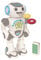 Lexibook Powerman Max, fjärrkontroll gå röstande leksaksrobot STEM programmerbar, danser, sång, berätta om 10 000 berättelser, pedagogiska skivor, röstrepetition, ROB80DE