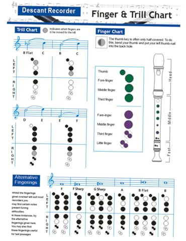 ULTECHNOVO Übungstabelle für Bassflöte aus Beschichtetem Papier mit Klarer Druckqualität Praktische Grifftabelle für Anfänger und Erfahrene Spieler im Musikunterricht