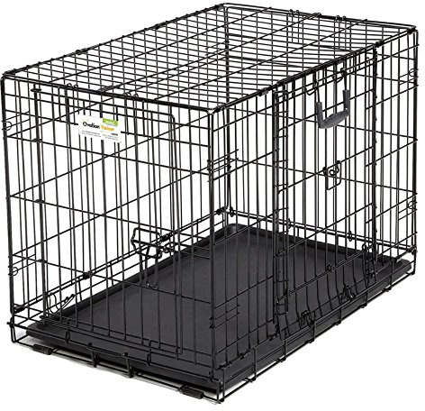 MidWest Homes for Pets XL Ovation Double Door 122 cm Folding Metal Dog Crate, Front and Up & Away Side Doors, Space-Saving Design