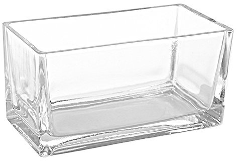 MyGift 7.8 Inch Modern Rectangular Glass Vase Trough Planter Terrarium