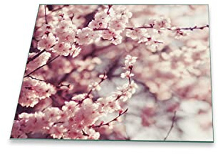 Herdabdeckplatte Abdeckung Ceranfeld Abdeckplatte Schneidebrett 1-Teilig 60x52 Kirchblütenbaum Rosa Spritzschutz Glasplatte Ceranfeldabdeckung Schutz Herdschutz Sicherheitsglas Glasschneidebrett
