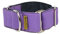 ThePetLover - Martingale Hundehalsband Lila