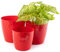 Home Garden Ornaments Rouge Pot de Fleur Interieur Lot de 3 Tailles 14/16/18 cm - Pot de Fleurs Exterieur avec Surface en Cristal Brillant - Décoratif Pots de Fleurs - Pot Plante Plastique (Rouge)