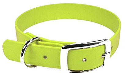 LENNIE BioThane Halsband, Dornschnalle, 25 mm breit, Größe 38-46 cm, Neon-Gelb, Aufdruck möglich