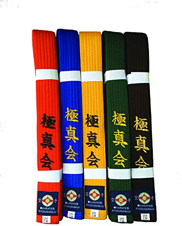 Kyokushin Karate Gürtel (orange, 260)
