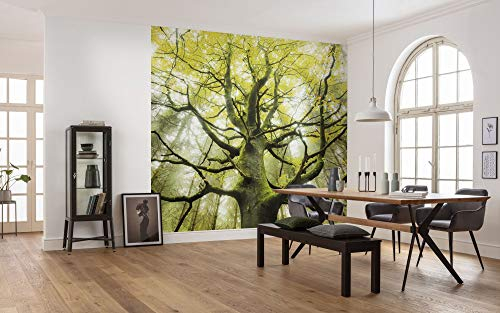 Komar Vlies Fototapete DER TRAUMBAUM | Tapete, XXL, Dekoration, Natur, Landschaft, Schlafzimmer, Wohnzimmer, Büro, Flur | Größe 450 x 280 cm (Breite x Höhe) | SHX9-020
