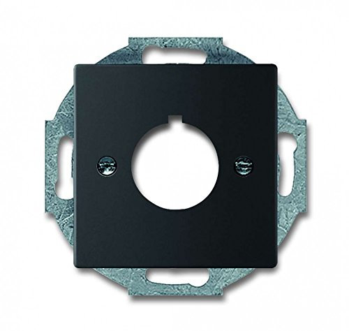 Busch-Jaeger 2533-885 Wall Plate, bunt